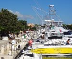 Boat for hire in the Puerto Aventuras marina
